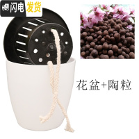 三维工匠懒人花盆自动吸水花盆绿萝用懒人盆特大水培自吸盆塑料吸水盆 盆+2升陶粒 m5[中号5个]花盆容器