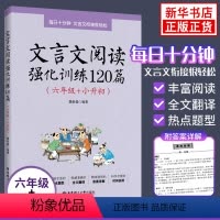 [正版]文言文阅读强化训练120篇 六年级小升初 小学生文言文古诗文小古文阅读理解专项训练书6年级 文言文启蒙课练习题