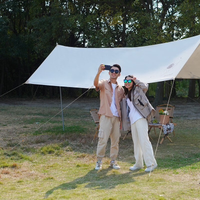 大迈星际漫步天幕-麦浪棕DM-1012L