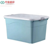 中盈惠彩 收纳箱 SNX-01 48*35*29cm 个