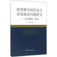 音像转型期中国劳动力市场演进问题陈瑛 著