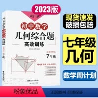 几何综合题 [正版]新版周计划初中数学几何综合题高效训练七年级7年级答案详解版中考真题提前演练创新思维题型华东理工大学出