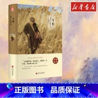 牛虻 [正版]牛虻 (爱尔兰)伏尼契 著 曹玉麟 译 世界名著文学 书店图书籍 中国文联出版社
