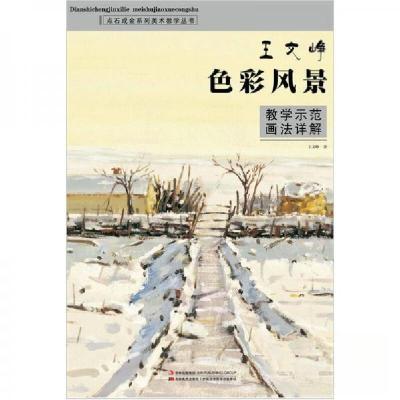 正版新书]美院之路系列丛书:王文峥色彩风景教学示范画法详解王