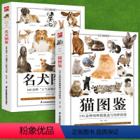 [正版]2册猫图鉴+名犬图鉴狗狗训练教程狗狗品种大全名犬图鉴纯种猫挑选与饲养宠物习性动物科百科普爱好者动物养猫养狗实用