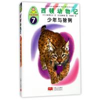 正版新书]西顿动物记(7少年与猞猁名家名绘版)(精)(日)小林清之