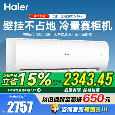 海尔Haier空调小2匹新一级能效冷暖家用卧室壁挂空调大风量智控除菌自清洁 劲风 KFR-48GW/24P1A181U1