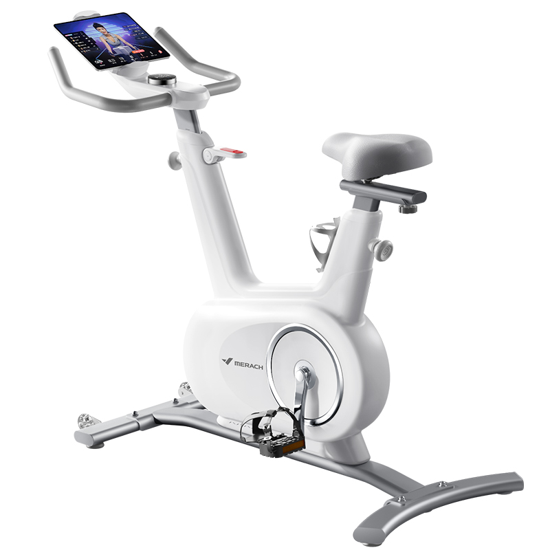 麦瑞克MERACH磁控直立式动感单车插电使用承重100kg家庭健身神器MR-S17