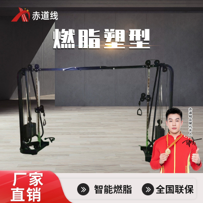 赤道线 大飞鸟龙门架综合训练器CDX-A499S-1714