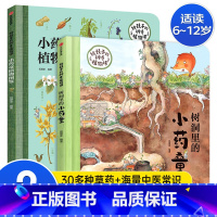 小药童(全2册)狐狸家 [正版]随书附赠音频故事 三国演义绘本全套6册 狐狸家编著3-9岁中国经典历史故事书四大名著三国