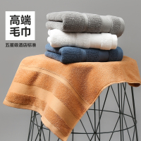 天山柔 34*74cm 100g/70*140cm 400g 纯棉 毛巾 (计价单位:条)