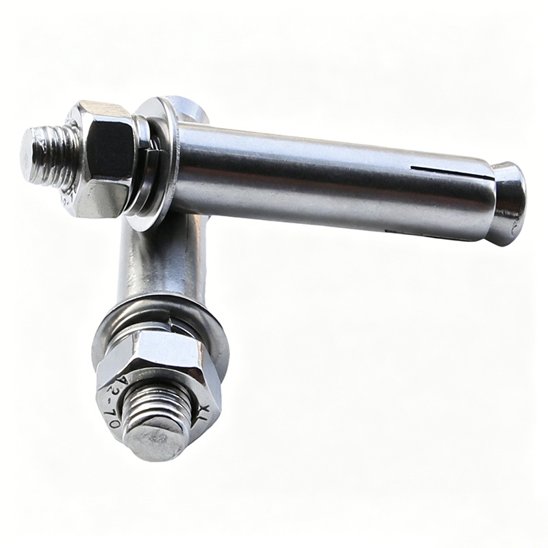 福佳琦 304不锈钢膨胀螺栓 M10*80mm 个