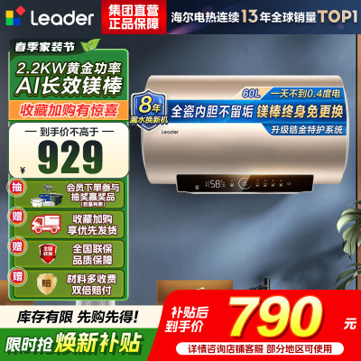 海尔(Haier)智家出品Leader统帅热水器[咨询客服享补贴] 电热水器60升LD5S一级能效出租房家用小尺寸