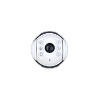 翊轩科技 YX-IPCSDSDT-YXS5XXXZS5CABCD 智能网络球型摄像机(计量单位:台)白色