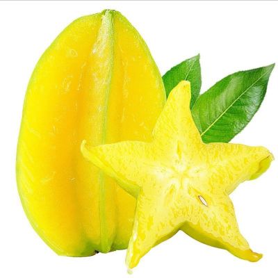 湛航 杨桃新鲜水果福建漳州下河甜杨桃大果酸洋桃阳桃树上熟特大果