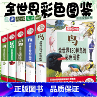 昆虫+树+鱼+动物+鸟彩色图鉴全5册 [正版]全5册动物全世界100种动物的彩色图鉴全世界300种树全世界80种昆虫世界
