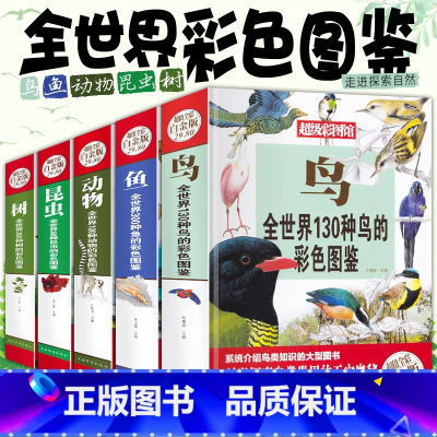 昆虫+树+鱼+动物+鸟彩色图鉴全5册 [正版]全5册动物全世界100种动物的彩色图鉴全世界300种树全世界80种昆虫世界