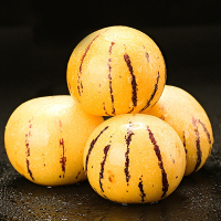 [熊猫鸟]云南特产石林人参果 净重3斤 特大果 单果90-110g 熟果 香甜可口 新鲜应季水果