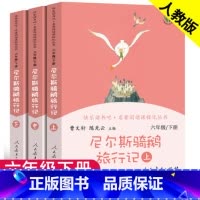 人教版]尼尔斯骑鹅旅行记 [正版]童年书高尔基爱的教育小英雄雨来原著人民教育出版社六年级上册下册必读课外书快乐读书吧汤姆
