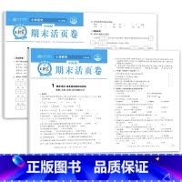 全2册-语文(人教版)+数学(苏教版)期末活页卷 六年级下 [正版]王朝霞试卷三四五六年级上册下册王朝霞期末活页卷一页一