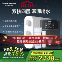 汉斯顿/Hunsdon家用0阻垢剂添加净水器管线机套装厨下式净饮机RO反渗透净水机过滤器母婴直饮厨房纯水机D3