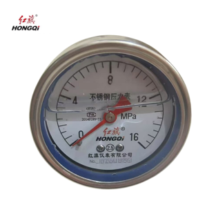 红旗 不锈钢轴向耐震压力表定制检测款YTN60BF (压力值需备注) 块