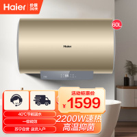 海尔(Haier)60升电热水器 2200W速热 高温抑菌 40℃节能温水 一级能效节能ES60H-DQ5