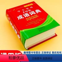 [正版]学生实用多功能 成语词典 对接课程 语文学习工具书 海燕出版社