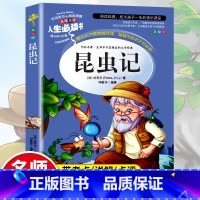 昆虫记 [正版]昆虫记小学生三四五六年级课外阅读彩图儿童读物世界经典名著儿童故事原著老师睡前故事名著导读