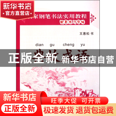 正版 典故成语(王惠松行书)/名家钢笔书法实用教程配套练习字帖