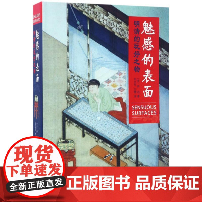 魅惑的表面(美)乔迅(Jonathan Hay) 著;刘芝华,方慧 译 著WX