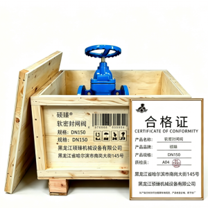 硕臻 软密封闸阀 DN150 个