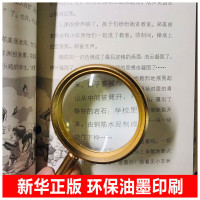 笑猫日记 一头灵魂出窍的猪 杨红樱著