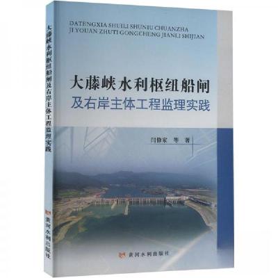 正版新书]大藤峡水利枢纽船闸及右岸主体工程监理实践闫修家9787