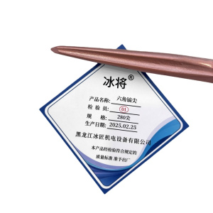 冰将 电锤尖扁凿子六角镐尖冲击钻头 个