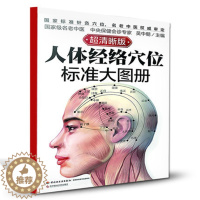 [醉染正版]正版 人体经络穴位标准大图册 清晰版 人体经络解书 人体经络中医按摩解大全书籍 养生书籍 穴位按摩书籍中