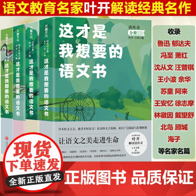 这才是我想要的语文书诗歌分册当代小说分册唐传奇分册现代小说分册叶开解读经典名作北京四中语文课细说诗文名篇品读何止文章书籍