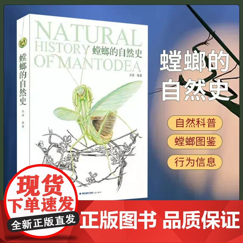 螳螂的自然史 自然科普百科昆虫读物书籍 吴超编著 中国昆虫图鉴 螳螂百科书籍 幽灵兰花圆盾螳螂卵螳螂饲料食物标本 海峡书