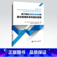 [正版]基于提高过程安全绩效的整合管理体系和指标指南 过程安全 绩效 安全 SHE SHEQS 中国石化出版社 97