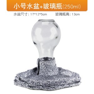 饮水器陆龟水盆泡澡喝水乌龟 喂食器缘角蛙喂水蜥蜴用品