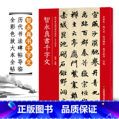 [正版]0减40智永真书千字文全彩色放大本技法解析及全帖历代书法碑帖导临教程楷书系列 繁体释文原帖历代书法毛笔软笔书法