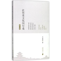 音像在历史文化间行走:第二卷王业群著
