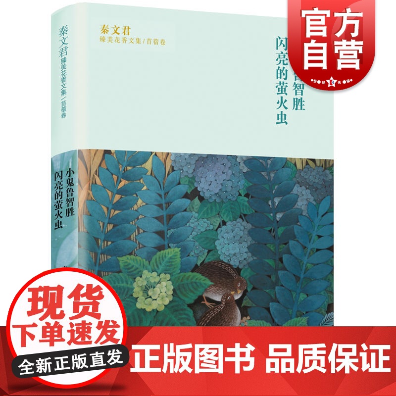 小鬼鲁智胜 秦文君臻美花香文集苜蓿卷 闪亮的萤火虫 秦文君著 7-16岁青少年文学读物 中小学生课外阅读书籍 少年儿童出