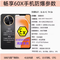 华为 畅享60X 256G 防爆手机 鸿蒙AI系统7000mAh长续航 6.95英寸大屏 定制防爆 智能爆手机化工厂EX工业专用 防爆定制版