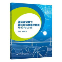 音像海杂波背景下雷达目标自适应检测理论与方法许述文,水鹏朗著