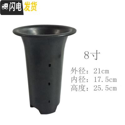三维工匠兰花盆 塑料 花盆 凹底透气盆大号小号中号带孔高绿兰花盆 8寸9孔(5个) 中等花盆容器
