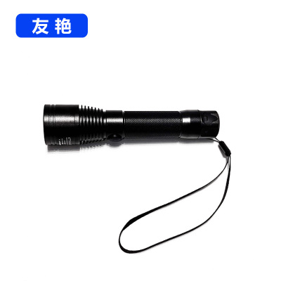 友艳多功能强光防爆电筒YY-202C/个