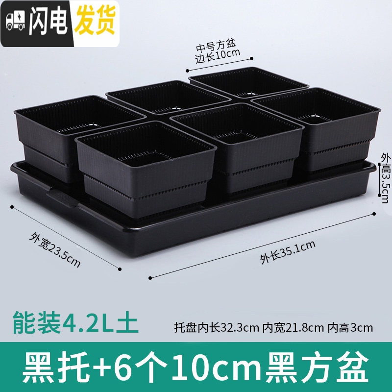 三维工匠美莳控根多肉花盆塑料套装组合创意透气肉肉控型盆器带托盘小花盆 黑托+6个黑盆(10cm盆) 小花盆容器
