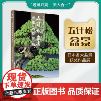 五针松盆景造型实例图解 绿手指日本盆景大师系列 武桂名译 中文版