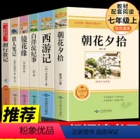 镜花缘七年级上册 [正版]七年级上册朝花夕拾西游记白洋淀纪事镜花缘猎人笔记htwx初中生课外阅读写作素材积累国内国外世界
